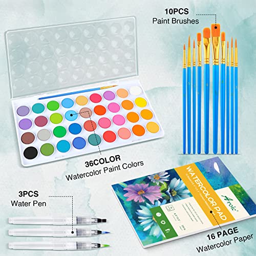AROIC 65 Pieces Watercolor Paint Set for Adults Artists, Beginners - color: 36 watercolor paint set