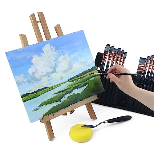 Transon 20Pcs Art Paint Brush Kit with Storage Case, 16 Brushes + Foam Brush Spatula Sponge for Acrylic Oil Watercolor Gouache, Adults Teens Beginners Art Supplies - color: Black