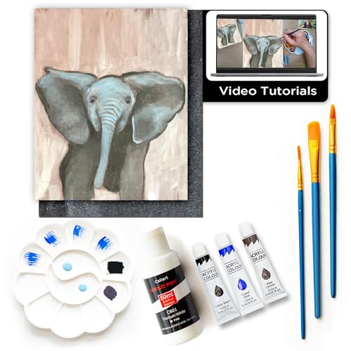 Painting4Real DIY Art Painting Kit for Adults with Video Tutorials – Learn to Paint Baby Elephant - 9 Pieces Acrylic Paint Set & Art Supplies for Adults, Mother Day Gift for Mom, Women, Men, Art Lover - color: Baby Elephant