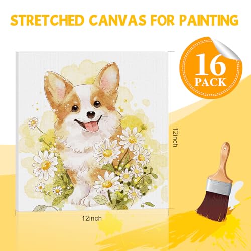 ESRICH Stretched Canvas for Painting 12x12 Inch, 16 Pack Painting Square Canvas Bulk-5/8 in Profile Primed Cotton White Blank Canvases for Painting for Oil & Acrylic Paint - size: 12x12in-16Pack