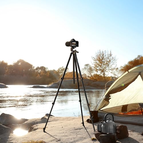 60″ Camera Tripod Lightweight Travel Stand for Canon Nikon Phone | with Wireless Remote Phone Holder and Bag Max Load 6.6 LB Black