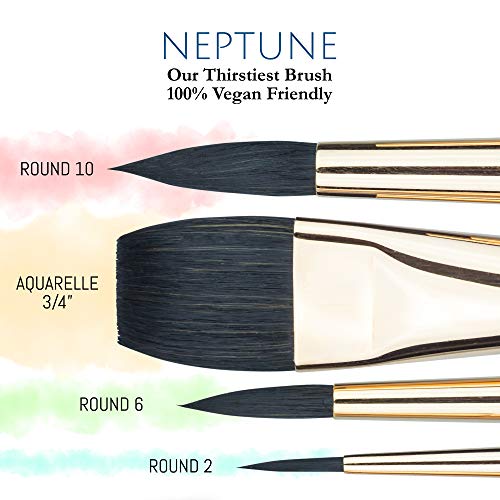 Princeton Neptune 4750 Series Watercolor Brush Set – Watercolor Brushes Professional Soft Synthetic Squirrel Hair – Artist Water Paint Brush Set – 1pc Aquarelle 3/4" & 3 Round Brushes (Sizes 2, 6, 10)