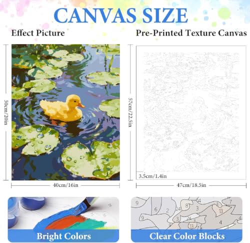 ZRIZQ Paint by Numbers Kit for Adults Beginner,Summer Duck,16x20 | Full set with rich paints,wooden brushes,rolled canvas.Calming,screen-free pastime.Beginner friendly.Just open and paint. - color: 16"X20"Rolled Canvas(Frameless)-Duck 1