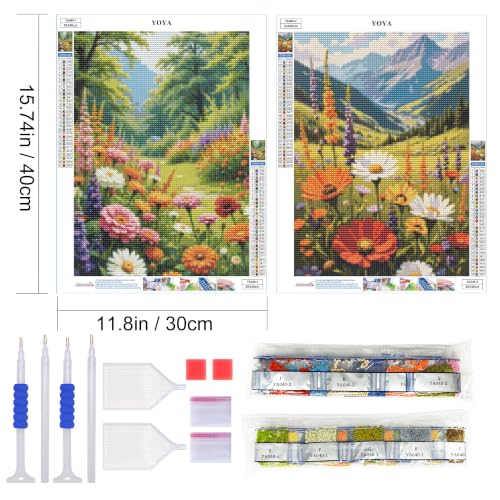 YOYA 2 Pack 5D Landscape Diamond Art Kits for Adults 12x16 Inch - color: Flowers Landscape 040