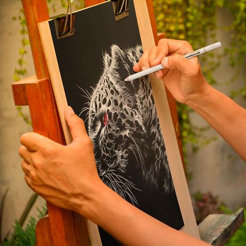 KALOUR White Charcoal Pencils Drawing Set, Professional 6 Pieces White Sketch Pencils for Drawing, Sketching, Shading, Blending, Chalk for Beginners & Artists - style: 6 White Charcoal Pencils