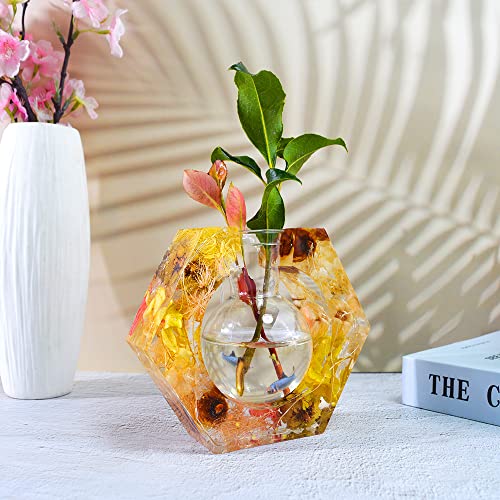 Silicone Resin Mold for Plant Propagation Station,Hexagon Planter Epoxy Mold for Hydroponic, with Plastic Bottle for Home Garden Wedding Desk Decoration - size: Hexagon