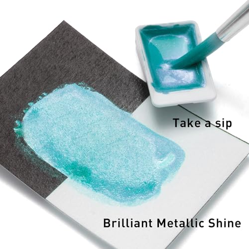 HIMI Metallic Watercolor Paint Set 12 Colors, Travel Water Colors with Paints Brushes, Crafts Painting Supplies, Shimmer Metallic Colourful Paints Sest, Drawing Gifts for Teens Adults Artists (Silver) - color: Silver