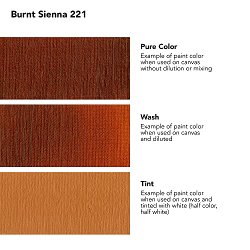 Daler Rowney Georgian Oil Paint Burnt Sienna 225ml Tube - Art Paints for Canvas Paper and More - Oil Painting Supplies for Artists and Students - Artist Oil Paint for Any Skill Set