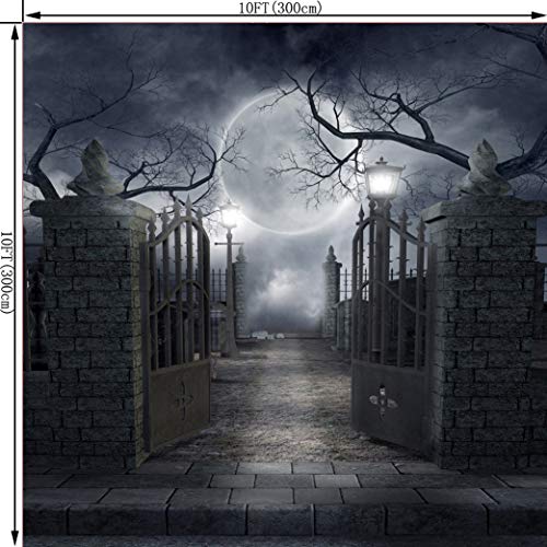 10X10FT Halloween Theme Pictorial Cloth Customized Photography Backdrop Background Studio Prop TP17C - size: 10X10FT