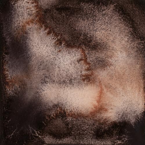 White Nights Limited Edition Granulation Metamorphoses Watercolor Collection of Professional Artist Grade Paints Vibrant Lightfast Colors by Nevskaya Palitra (Black Mystery) - color: Black Mystery