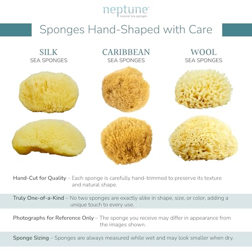 Neptune Caribbean Sea Sponge 2-Pack, Small, Approx. 4-5 in, Exfoliating | Hand cut so size and shape vary slightly. Eco-friendly, biodegradable, ultra-soft for face and body
