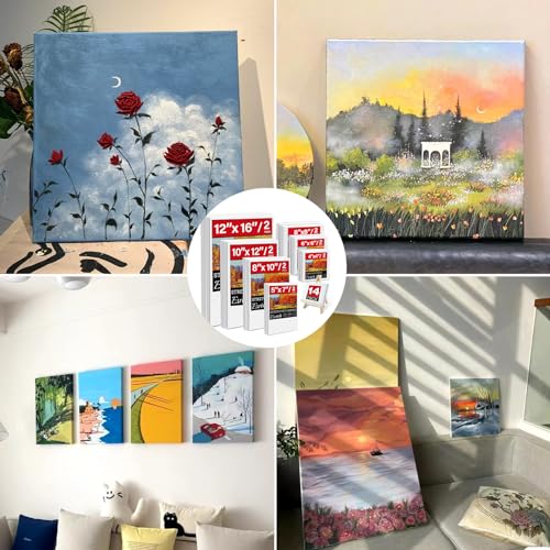 14 Packs Stretched Canvas for Painting, MultiSize 12x16, 10x12, 8x10, 5x7, 8x8, 6x6, 4x4 (2 of Each), Primed Blank Canvas for Oil, Acrylic Paint,for Beginner, Artist. - size: 14Pack-MultiSize Canvas