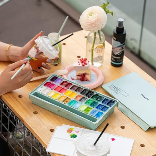 HIMI Twin Cup Jelly Acrylic Paint Set, 36 Colors 12g, High Viscosity, Blendable, Paints on Rocks Crafts Canvas Wood, Fabric, Ceramic & Stone, Art Craft Paints Gifts for Artists Beginners & Painters - color: 36colors