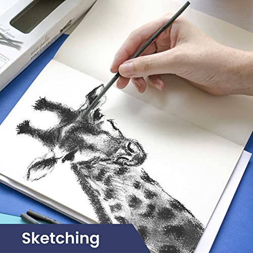 Pacific Arc Large Willow Charcoal Stick 4/Pkg, Soft, Black, Willow Charcoal for Sketching and Drawing - style: Willow Soft | 4 Sticks