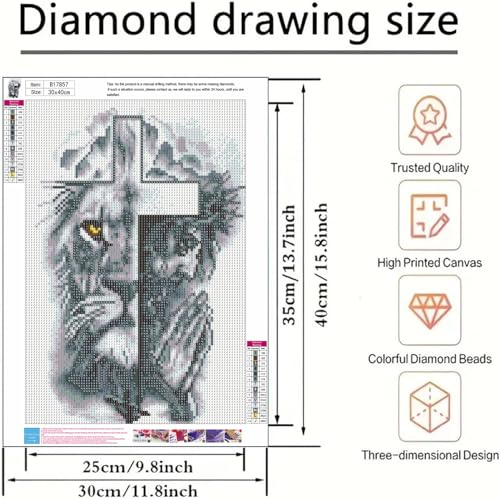 DYAIANGMU Jesus Christ Diamond Art Kits for Adults 11.8x15.7in | 5D Lion Diamond Art Painting Kit for Adult Beginners, DIY Full Round Drill Gem Art Diamond Dots Kits for Home Wall Decor - color: B17857