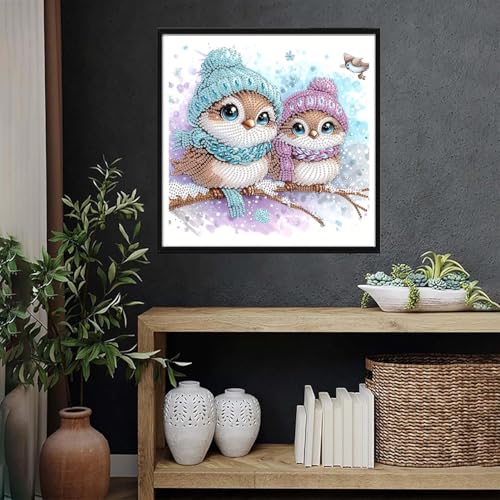 BSNRCH Birds Diamond Art Kits for Adults,Winter Theme 5D Diamond Painting DIY Animal Diamond Art Diamond Painting Kits for Adult,Round Full Drill Diamonds, Diamond Art Kits for Home Decor 12x12inch - color: 02--Two Birds