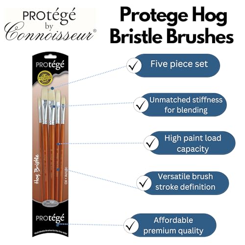 Protege Brush Set Hog Bristle Long Handle 5pc