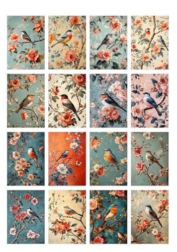 Decoupage Paper Pack (35 Sheets 6"x8") Spring Songbirds: Colorful Birds Resting on Blossoming Branches with Soft Petals and Vintage Botanical Charm in Natural Scenes FLONZ Vintage - color: ThirtyFive