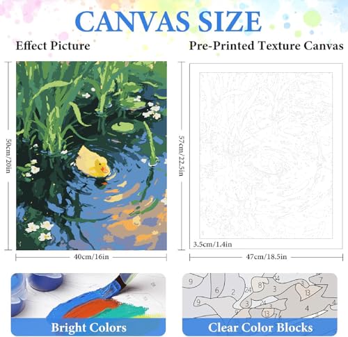 ZRIZQ Paint by Numbers Kit for Adults Beginner Animal,Duck,16x20 | Full set with wooden brushes,rolled canvas,rich paints.Calming activity.Beginner friendly.Just open and paint. - color: 16"X20"Rolled Canvas(Frameless)-Duck