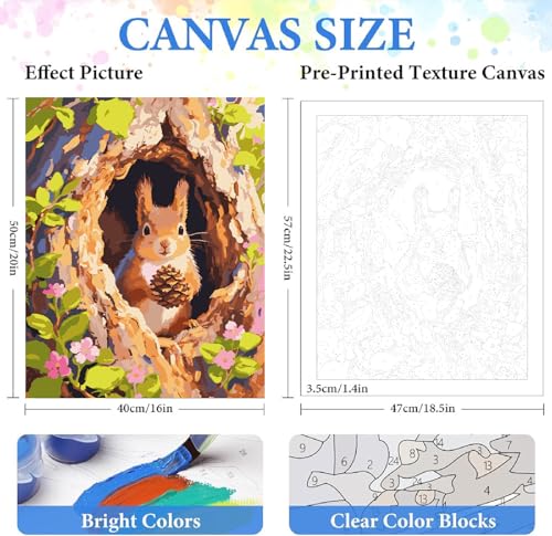 Paint by Numbers Kit for Adults Beginner Animal,Forest Squirrels,16x20" - color: 16"X20"Rolled Canvas(Frameless)-Forest Squirrels