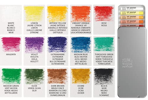 Winsor & Newton Professional Oil Pastels, Set of 15 | Highly pigmented colors with rich consistency, Versatile, perfect for expressive medium use - style: Set of 15