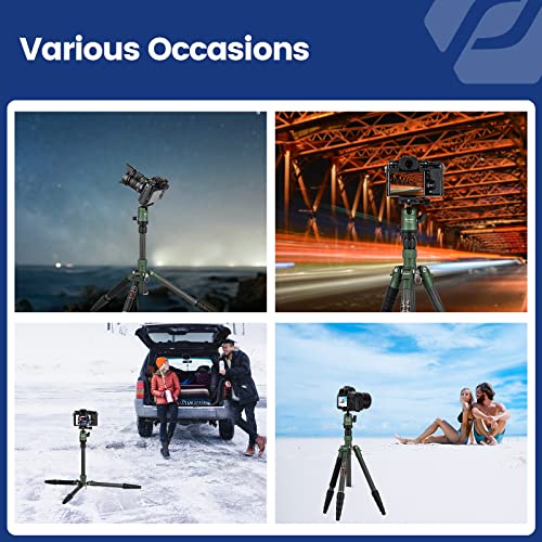 Fotopro 60" Carbon Fiber Camera Travel Tripod, 2lbs Super Lightweight Compact Tripod with 360° Metal Ball Head, Detachable Monopod, with Arca QR Plate & Bag, Load up to 8KG/17.63lbs, for SLR DSLR - color: Green, size: 62" Basic (Carbon Fiber)