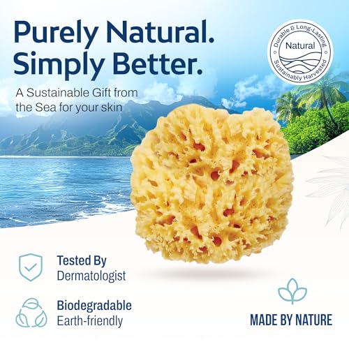 HartFelt Wool Sea Sponge Beauty Box for Delicate Skin | 2 Bath Sponges for Shower Women & Men 4 in | Natural Sponge with Mesh Bag for Cleaning & Drying | Chemical-Free Body Sponge Set - Gift Box - size: 1 Count (Pack of 2), style: Wool Sea Sponge