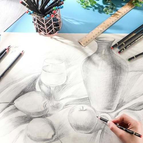 Resurhang 100 Pcs Charcoal Pencils Drawing Set, Charcoal Pencils bulk for Drawing Sketching Shading Blending Portrait Beginners and Artists(Black,Super Soft, Soft, Medium and Hard) - color: Black, style: Super Soft, Soft, Medium and Hard