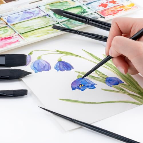 Transon 10pcs Natural Watercolor Paint Brush Set Professional for Watercolor Acrylic Ink Gouache Tempera - color: Black