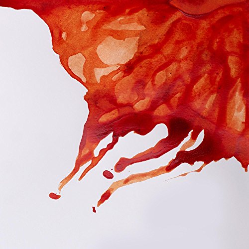 Winsor & Newton Drawing Ink, 14ml Bottle, Burnt Sienna | Fast-drying, transparent & water-resistant; Outstanding Color Brilliance; Perfect for brush, dip pen, airbrush applications. - color: Burnt Sienna, style: 14ml Bottle