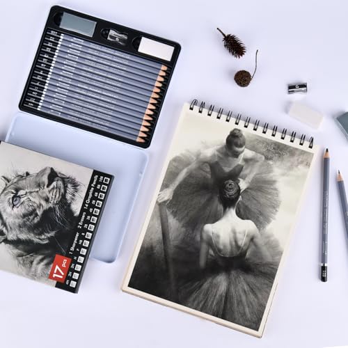 Brusarth Professional Sketch Graphite Pencils for Drawing Set,17 Pcs