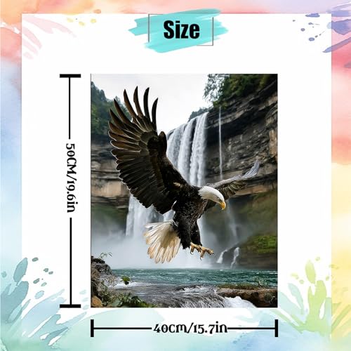 NDNXYXGS Eagle Paint by Numbers Kit for Adults,DIY Painting Kits on Canvas,Fall Color by Numbers,Large Adult Paint by Number for Gifts,Home Wall Decor - color: eagle