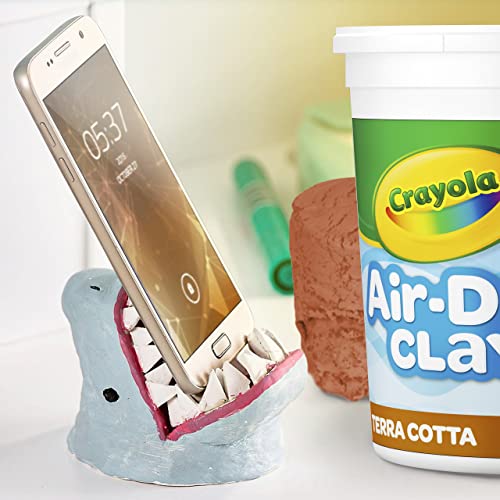 Crayola Air Dry Clay for Kids (5lbs), Reusable Bucket of Terra Cotta Clay for Sculpting, Bulk Arts and Crafts Supplies, Ages 3+ - color: Terra Cotta, size: 5lb
