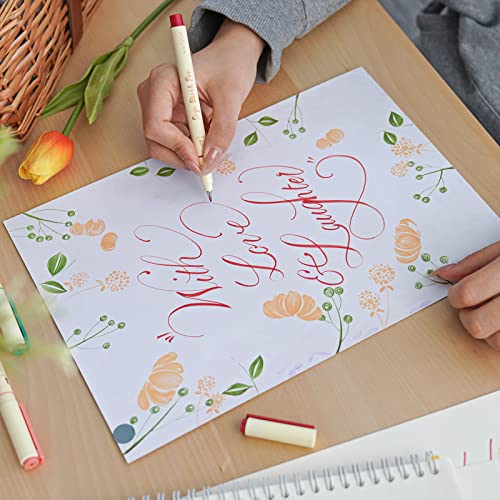 WRITECH Arts Sign Brush Pen Brush Tip Marker Felt Tip Water Based Ink Color Pens 12 Assorted Pastel Colors Great for Lettering, Journaling, Calligraphy (Natural) - color: Multicolor