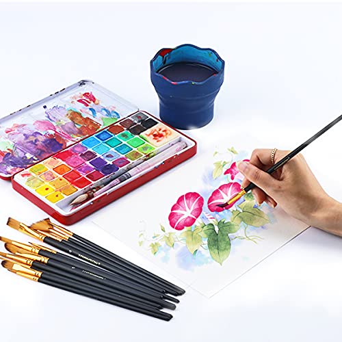 Transon Art Painting Brush Assorted Set of 12 for Acrylic Watercolor Gouache Hobby Painting - color: 12 Pcs Black