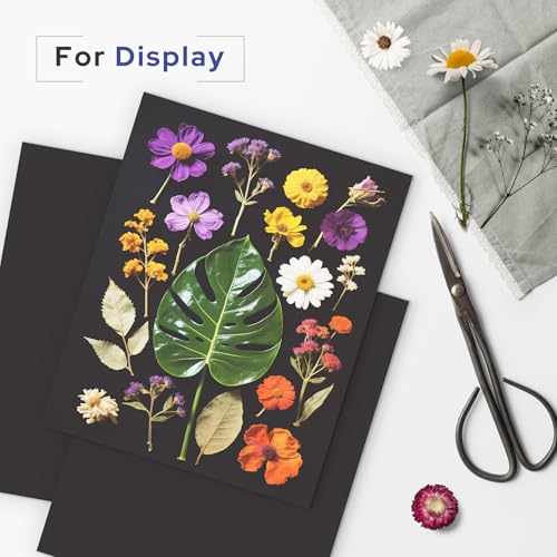 AUEAR 8x10 Uncut Picture Mat Boards, 10 Pack Black Matt Boards for Prints - color: Black, size: 8x10
