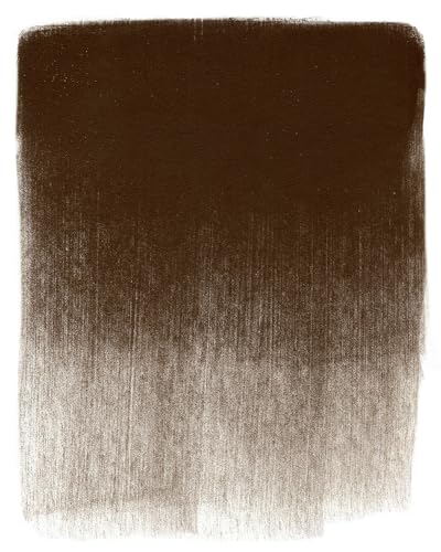 PanPastel Artist Pastels by GOLDEN, Red Iron Oxide Extra Dark, 2.44” / 62mm Pan Diameter, Professional Artist Pastels, Unique Pan Format (cake-like) - color: Red Iron Oxide Extra Dark, size: 1 Count (Pack of 1)