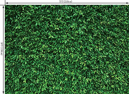 7X5FT Green Leaves Nature Birthday Party CP Pictorial Cloth Photography Background Computer-Printed Vinyl Backdrop PCK39 - size: 7X5FT
