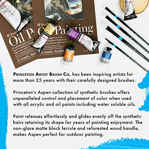 Princeton Aspen Acrylic & Oil Brush Set, Synthetic, 4 Piece, 1 Count