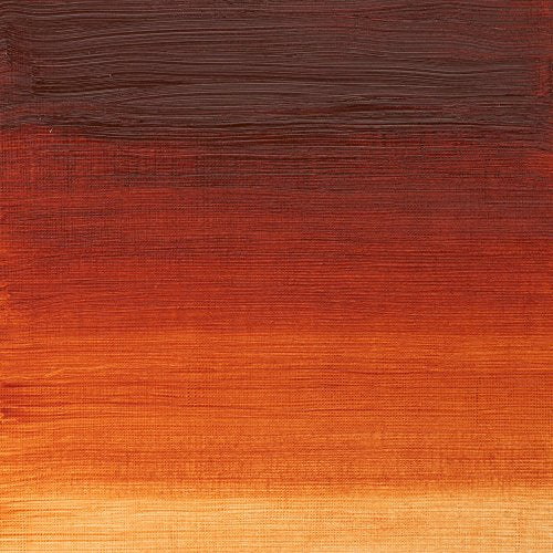 Winsor & Newton Winton Oil Color, 37ml Tube, Burnt Sienna | High-quality pigments, Durable, Lightfast, Permanent, Uniform Consistency, Great Pigment Load - color: Burnt Sienna, size: 1.25 Fl Oz (Pack of 1), style: 1.25-oz Tube
