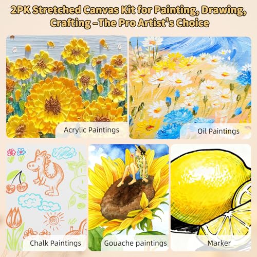 2-Pack 24x36 Stretched Canvas 13.4oz Warp-Resistant for Oil & Acrylic | (380gsm) triple gesso primed, warp-resistant, large pre-stretched canvas for gallery-quality art - size: 2pk - 24"x 36"