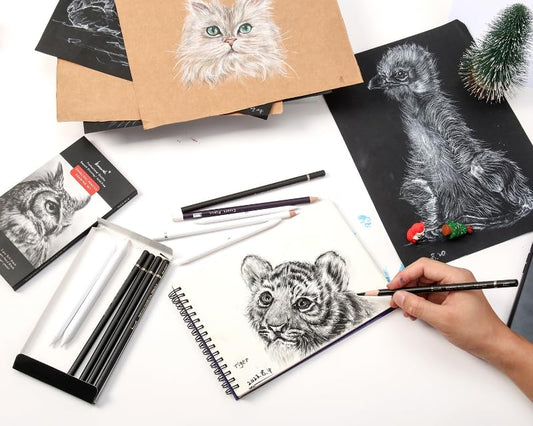Brusarth Charcoal Drawing Set, 12 pcs Black charcoal pencils | White Charcoal Pencils, Eraser Pencils, Blending Stumps for Drawing, Sketching, Shading, Artist Pencils for Beginners - color: Black