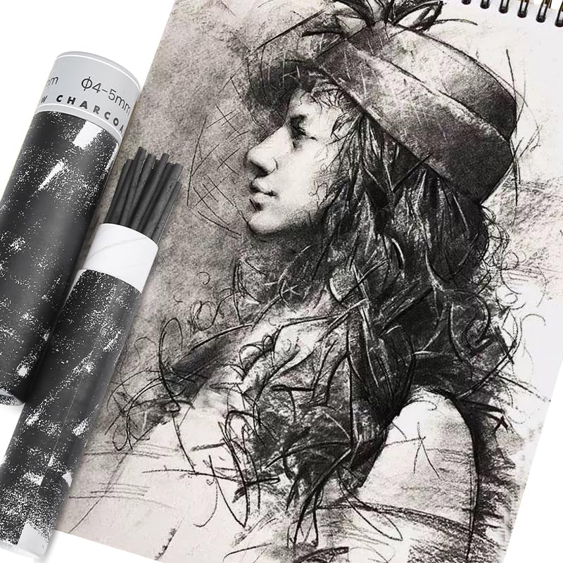 25PCS/Tube Willow Charcoal Sticks - Natural Willow Charcoal for Artists, Beginners, or Students of All Skill Levels - Perfect for Drawing and Sketching, Approx. 2-4mm Dia - style: 2-4mm