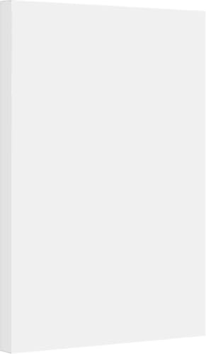 Vellum Bristol Cover 67 Pound, Smooth Finish, 250 Sheets Pack. – Premium Heavyweight Cardstock for Crafting, Printing, and Professional Projects, Acid-Free. (1, White, 11"x17") - color: White, size: 11"x17"