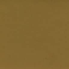 Holbein Artists Gouache Raw Umber 15ml (A)