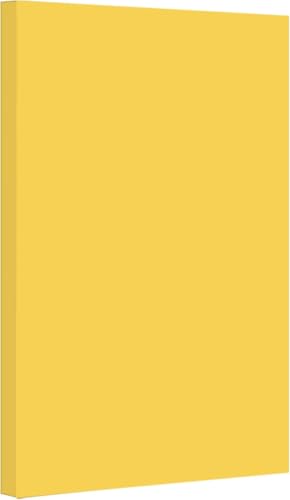 Vellum Bristol Cover 67 Pound, Smooth Finish, 250 Sheets Pack. – Premium Heavyweight Cardstock for Crafting, Printing, and Professional Projects, Acid-Free. (1, Goldenrod, 11"x17") - color: Goldenrod, size: 11"x17"