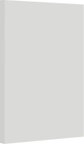 Vellum Bristol Cover 67 Pound, Smooth Finish, 250 Sheets Pack. – Premium Heavyweight Cardstock for Crafting, Printing, and Professional Projects, Acid-Free. (1, Grey, 11"x17") - color: Grey, size: 11"x17"