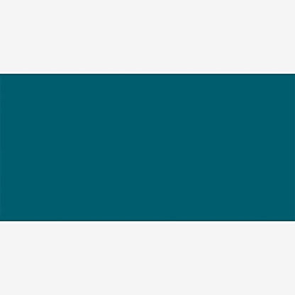 Permaset Aqua Standard 300ml Turquoise - Screen Printing Ink for Fabric - Ideal Screen Printing Kit for Home Office, Starter Kit, Fabric Paint, Screen Printer and other Fabric Ink