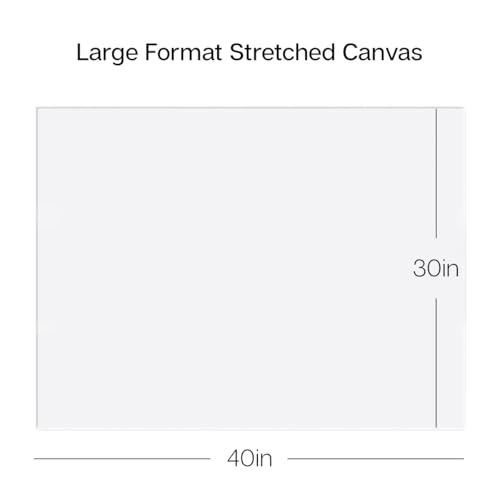 KINGART 814-2 Stretched White Canvas for Painting, 30 x 40 Inch, Pack of 2 - size: 30 x 40 Inch