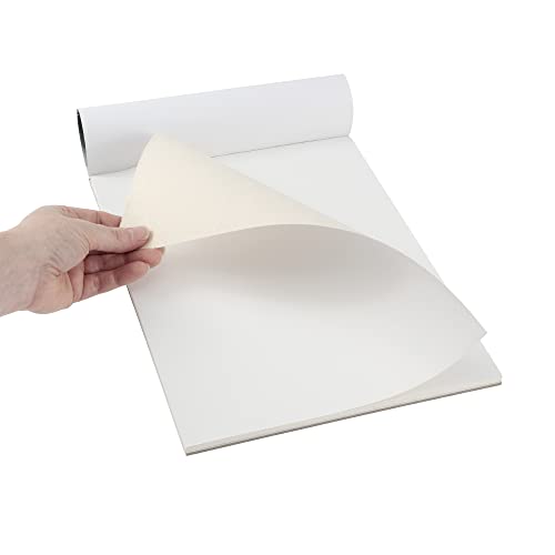 Paramount Universal Primed Premium Cotton Canvas Pads - 2 Pack - 16" x 20" - Universal Double Primed Cotton Canvas Pads for Drawing, Painting, Travel, & More - size: 16" x 20"